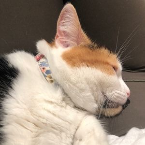 Meet your Posher, Magdaline